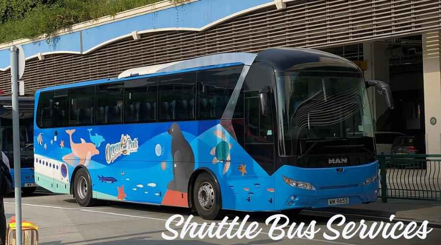 Disney World Shuttle Bus Services